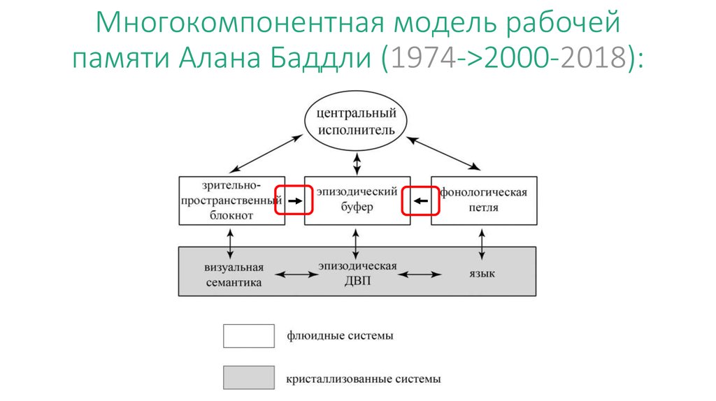 Модели памяти. Многокомпонентная модель рабочей памяти Алана Баддли. Модель рабочей памяти Бэддели. Модель рабочей памяти Алана Бэддели. Структура памяти Бэддели.