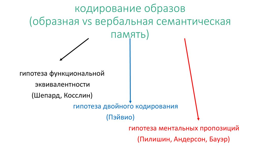 Вербально семантический уровень языковой личности