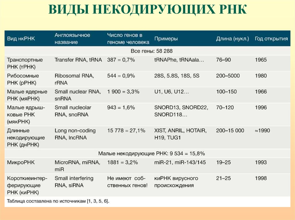 Длинные некодирующие рнк. Длинные некодирующие РНК функции. Размер длинных некодирующих РНК. Примеры некодирующих РНК. Виды РНК кодирующие и некодирующие.