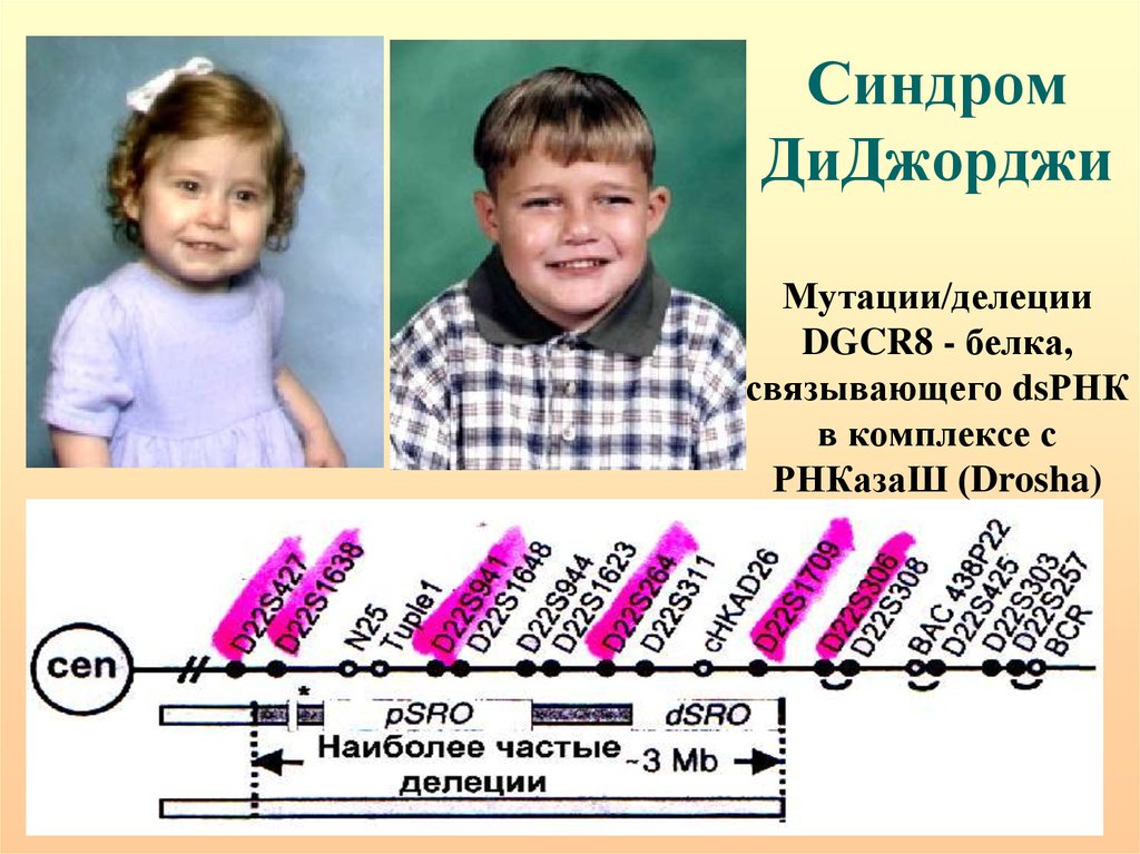 8 хромосома. Делеция в восьмой хромосоме.