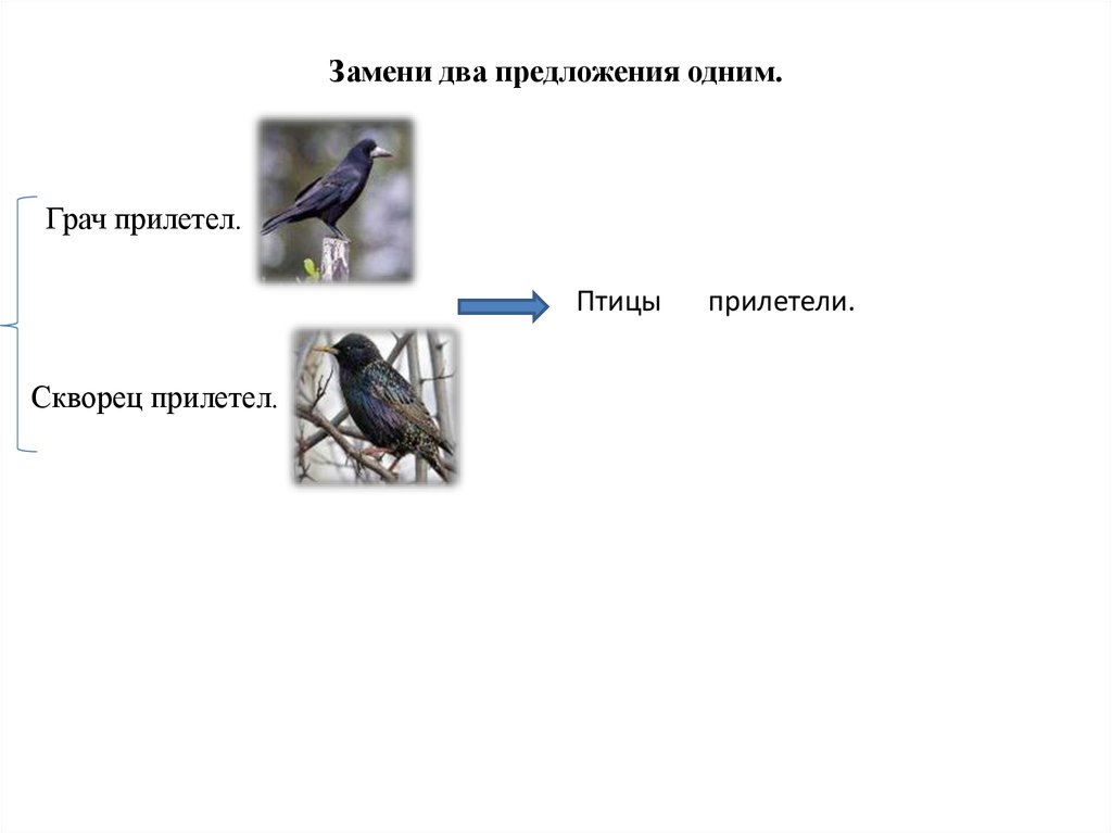 Замени два предложения одним.