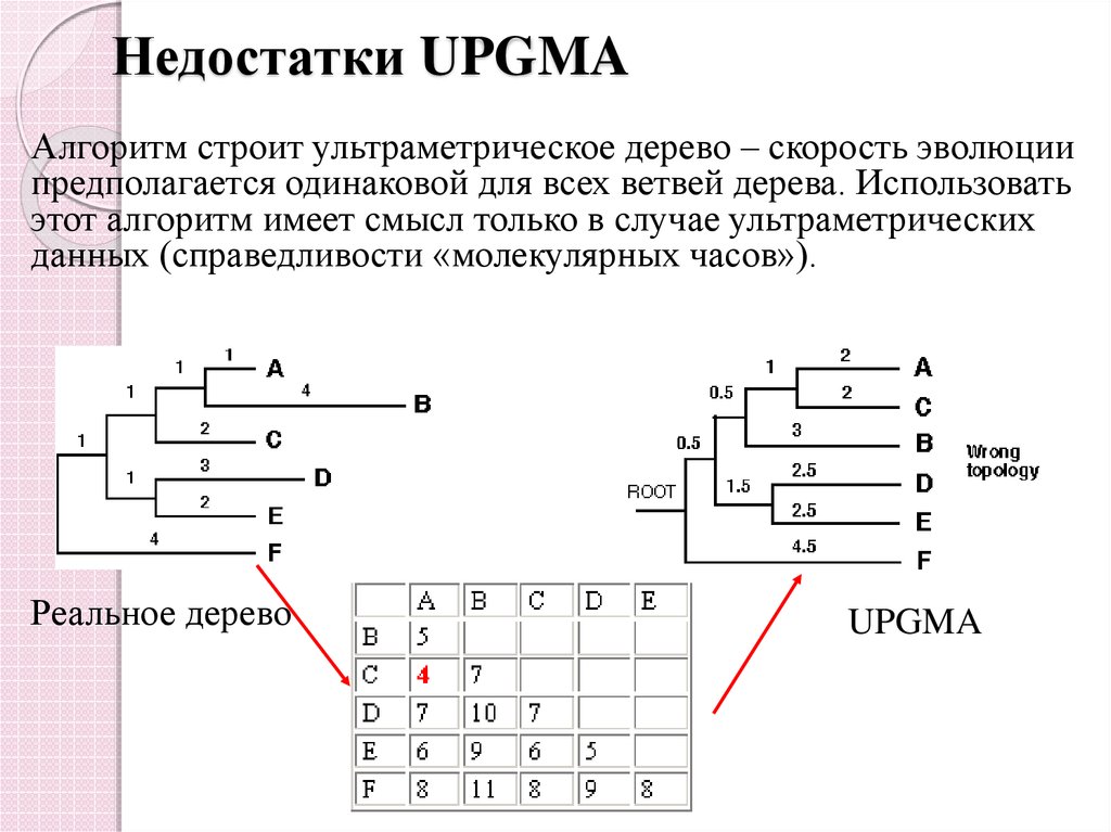 Алгоритм строй