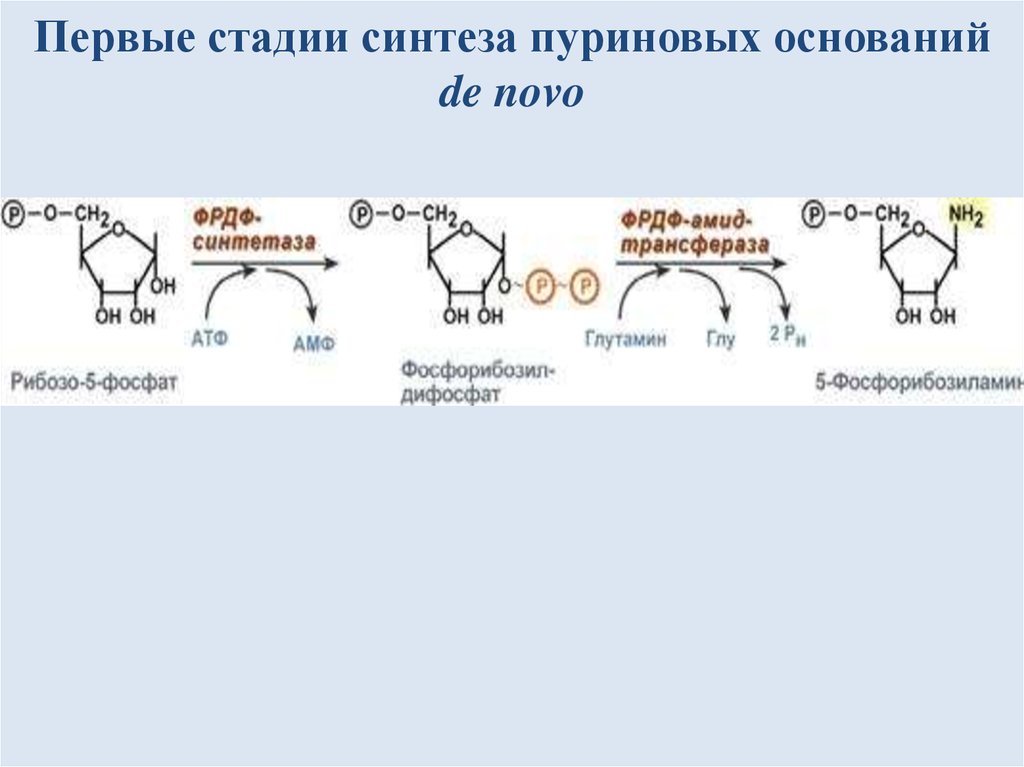 Синтез пуринов схема