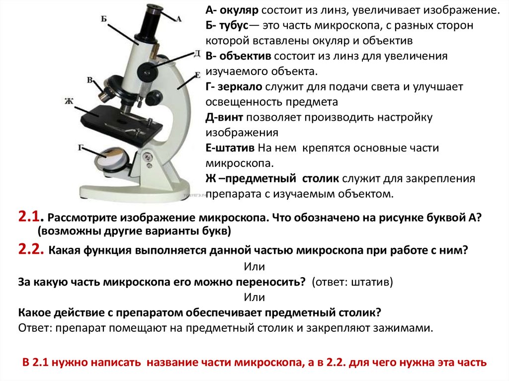 Анализ произведения микроскоп. Строение микроскопа таблица 2. Строение микроскопа ВПР. Строение микроскопа 5 класс биология ВПР цифровой микроскоп. Строение микроскопа 5 класс биология ВПР.