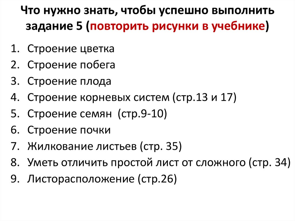 Что нужно знать чтобы сдать. Разборы 6 класс ВПР.