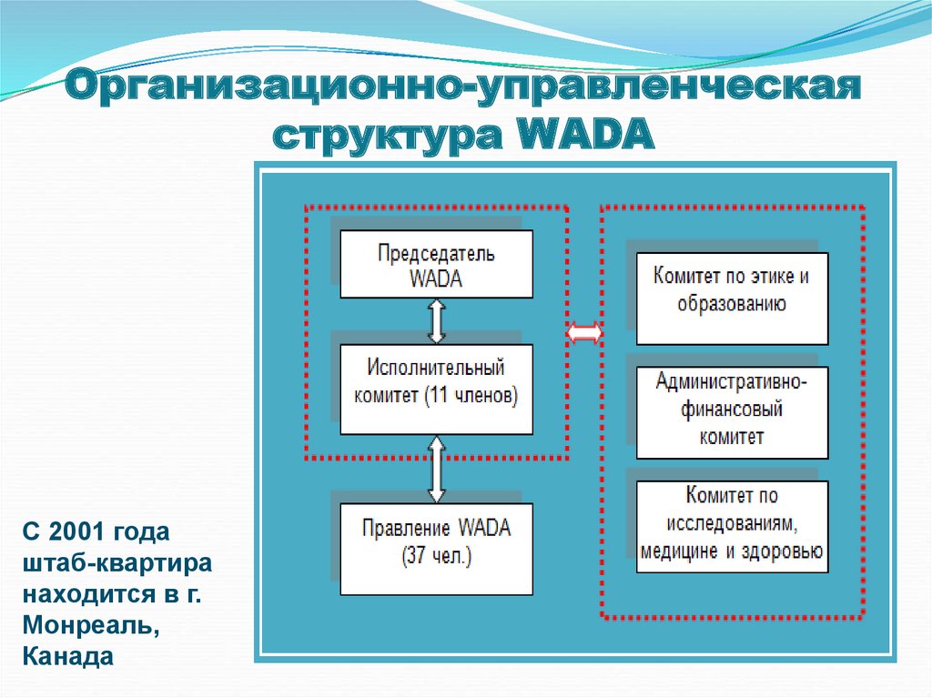 Организационно управленческая структура. Структура Wada. Организационная структура вада. Международные спортивные организации.