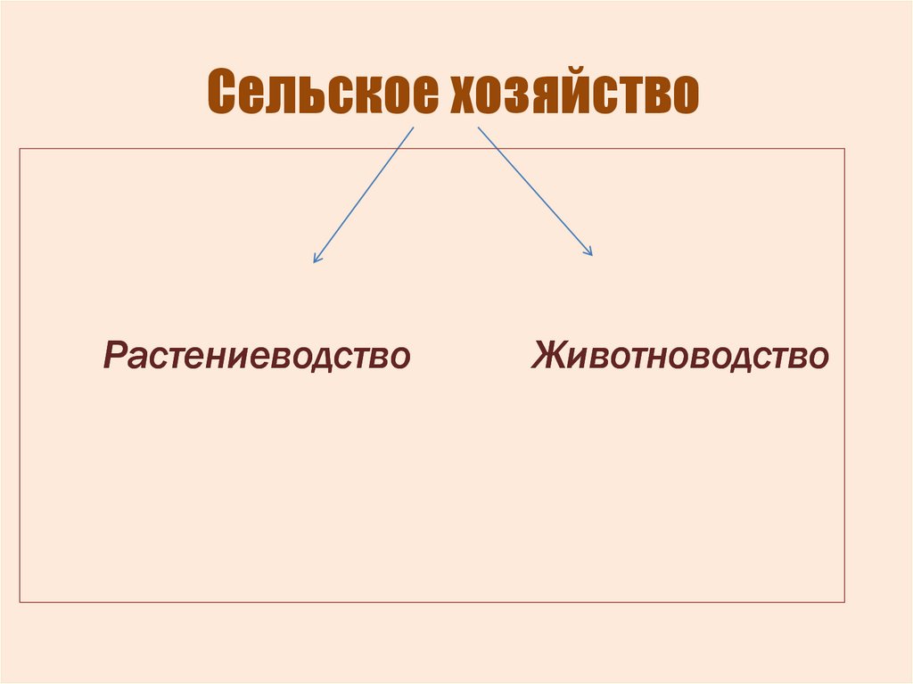 Сельское хозяйство краснодарского края презентация