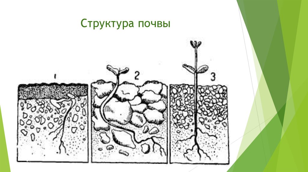 Нарисовать рисунок состав почвы