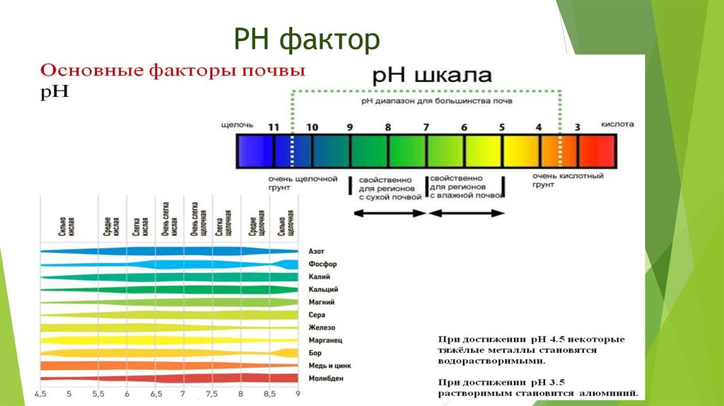 5 7 кислотность. Шкала PH почвы кислотности почвы. РН таблица кислотности. РН шкала кислотности и щелочности. Шкала уровня кислотности РН.