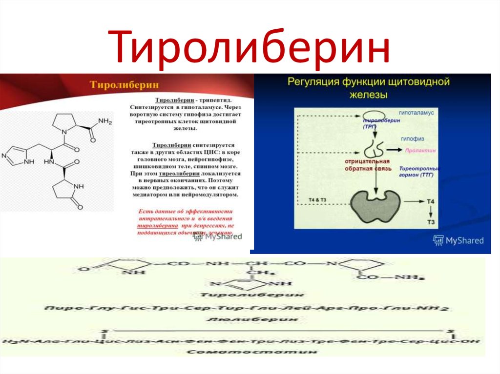 Гормондар биохимиясы презентация