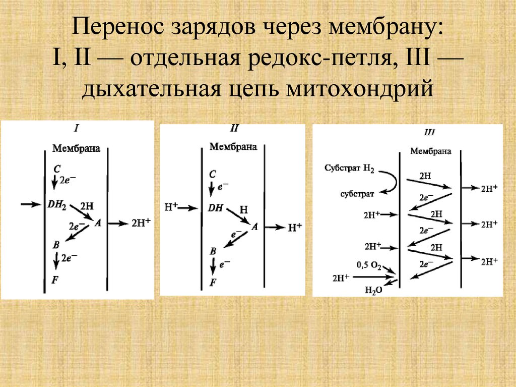 Последовательности перенос. Перенос заряда. Механизмы переноса заряда. Перенос заряженных частиц через мембрану. Процесс переноса зарядов.