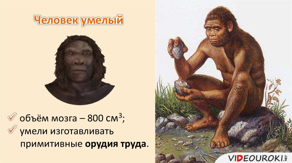 Человек который не умел читать. Homo habilis объем мозга. Историческое прошлое людей. Человек умелый. Историческое прошлое людей биология.