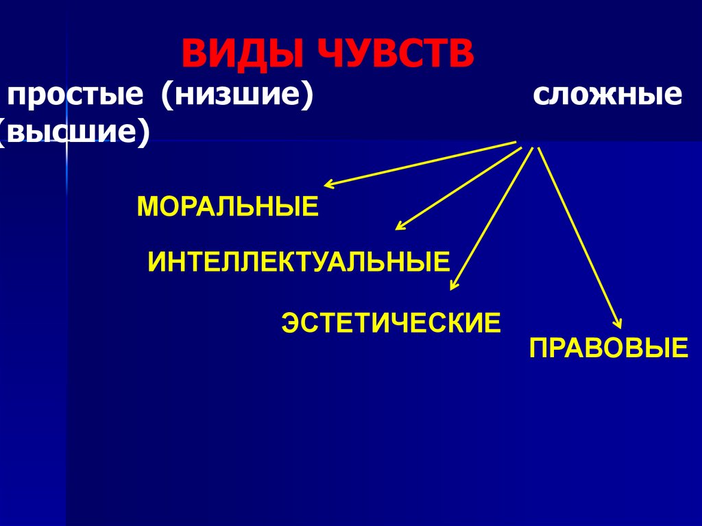 Моральные практические интеллектуальные эстетические. Виды чувств высшие и низшие.