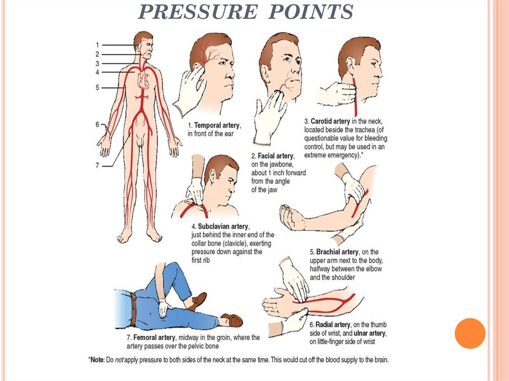 Sexual Pressure Points On The Body 👉👌pin On Pressure Points Self Defense
