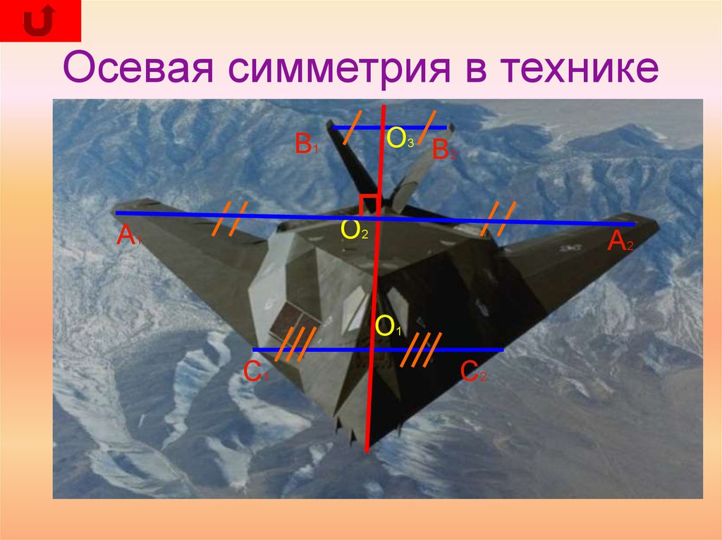 Симметрия в медицине презентация