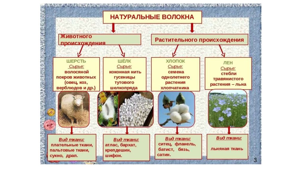 Натуральные волокна преимущества. Натуральные волокна 5 класс технология. Таблица свойств тканей растительного происхождения. Ткани растительного происхождения таблица. Виды натуральных волокон растительного происхождения.