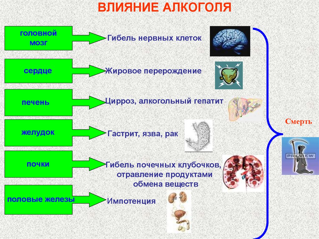 Презентация гигиена пищеварительной системы