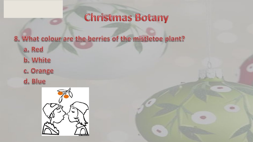 Christmas Botany