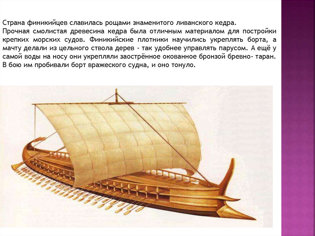 Тест по теме финикийские мореплаватели