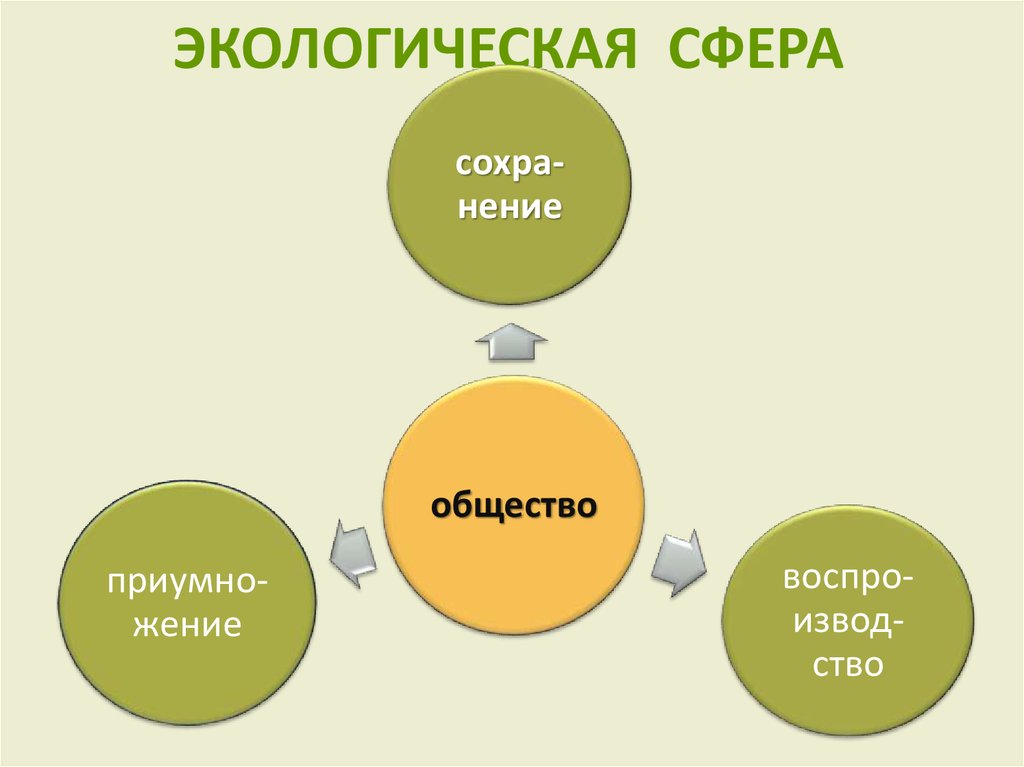 Сферы окружающей среды. Экологическая сфера. «Деятельность в сфере экологии»;. Сфера экологической деятельности. Экологической сфере жизни.