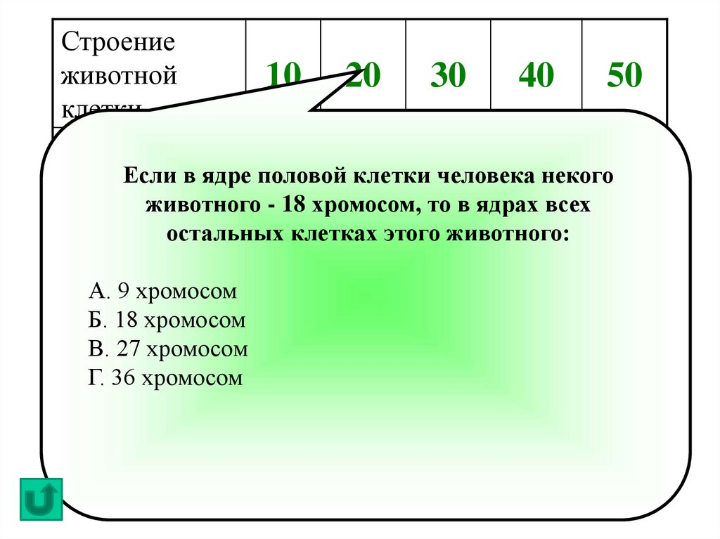 Пять карточек лежат в ряд как показано. Зашифровать номер телефона. Номер каждой буквы. Укажите на месте каких цифр в предложениях должны стоять запятые. Шифруем номер телефона.