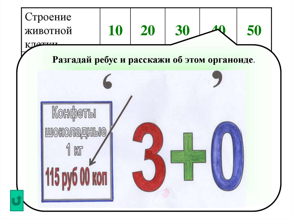 Ребус стр. Ребусы строение клетки. Ребусы на тему клетка. Ребус с ответом клетка. Ребусы по биологии строение клетки.