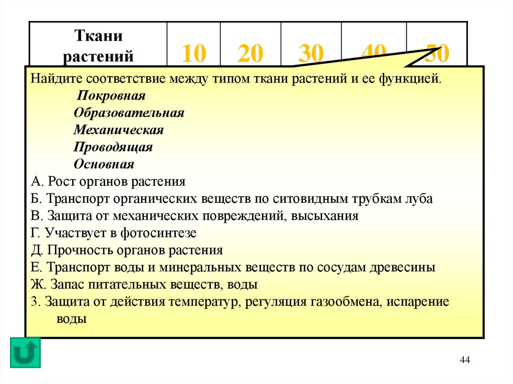 Найдите соответствие ответ. Соответствие между тканью растений и ее функцией. Соответствие типа ткани и её функции. Найдите соответствие между типом тканей и их функциями. Соответствие функции и типы тканей.