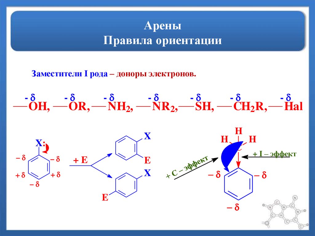 Арены презентация 9 класс