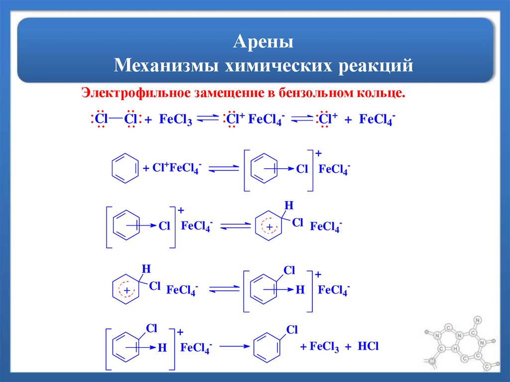 Арены презентация 9 класс