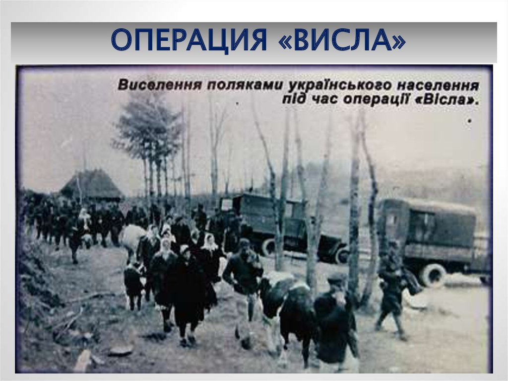 Операция Висла 1947. Депортация хохла. Депортации украинцев из Торревьехи. В каком году депортировали украинцев. Депортация украина