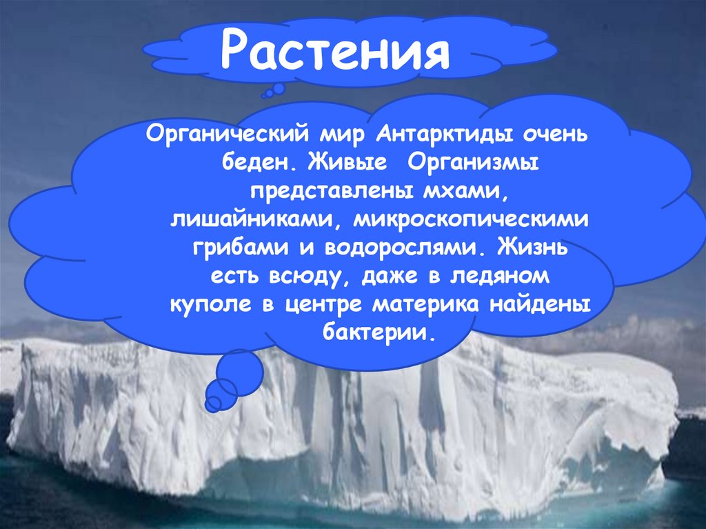 Проект антарктида 7 класс