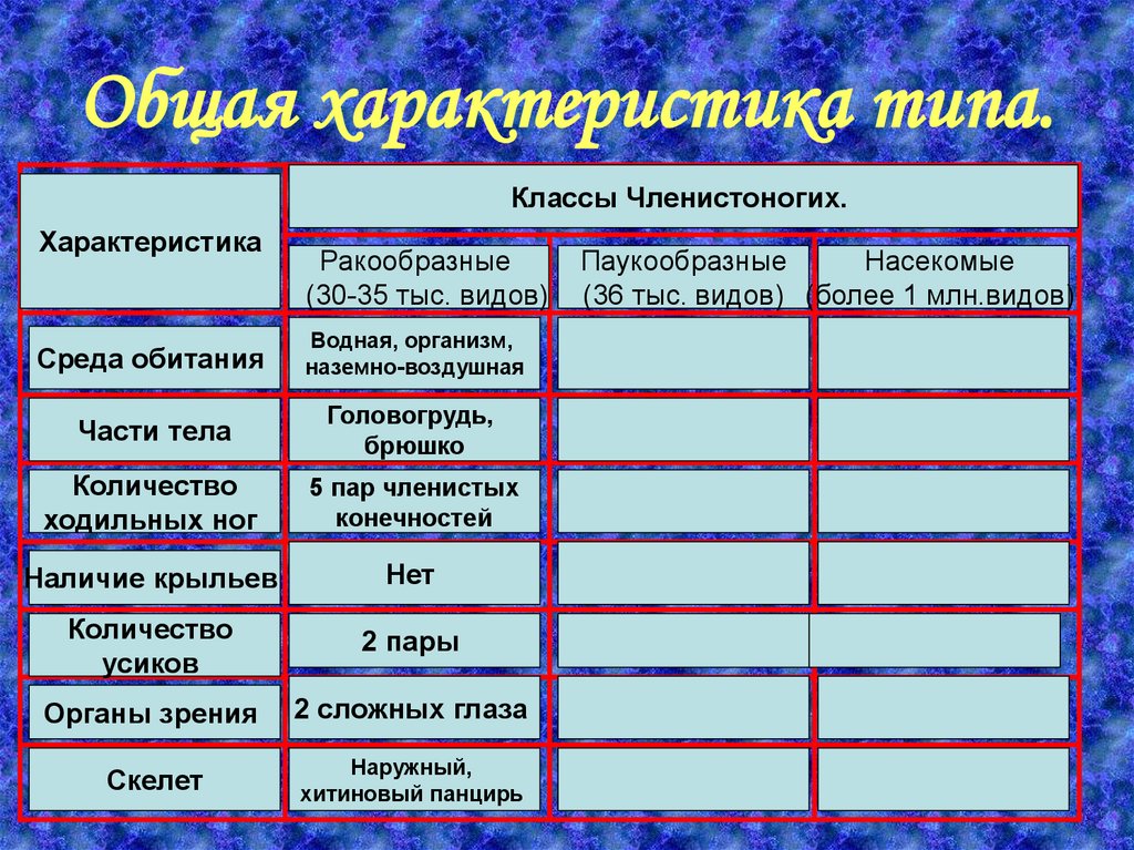 Характеристика класса паукообразные