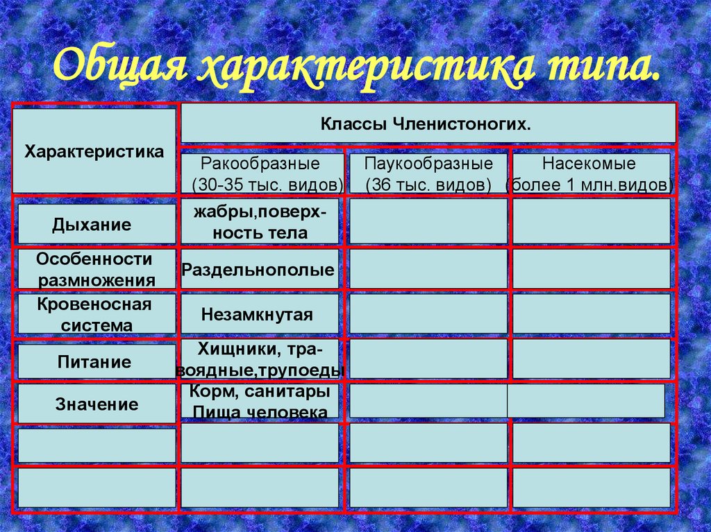 Сравнительная характеристика членистоногих