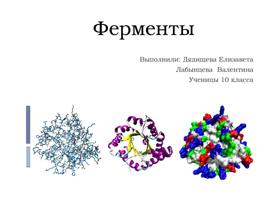 Ферменты. Роль ферментов в организме. Каталитические свойства ферментов - презентация онлайн