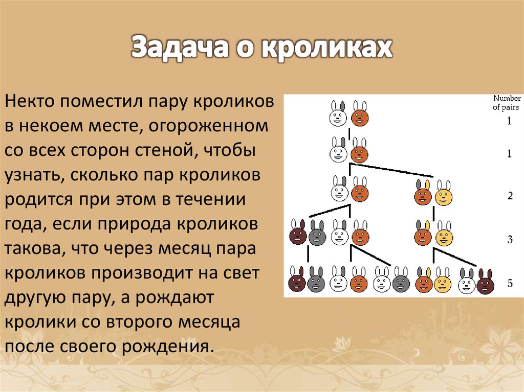 Прогрессия в жизни человека проект