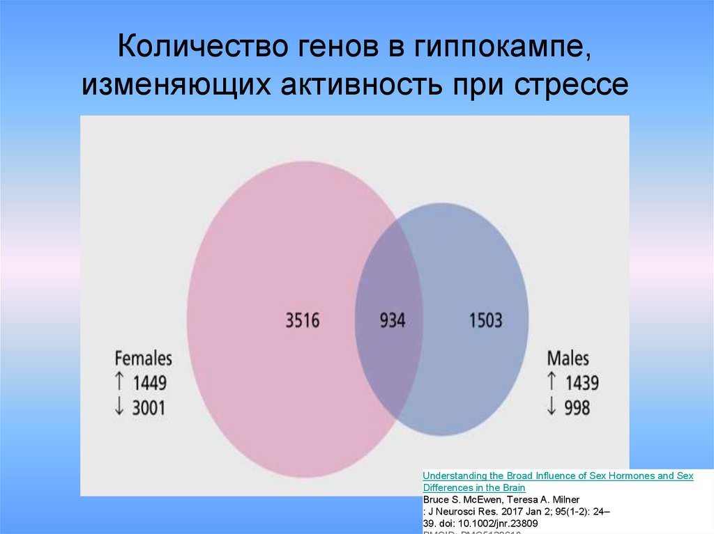 Сколько генов у мужчин