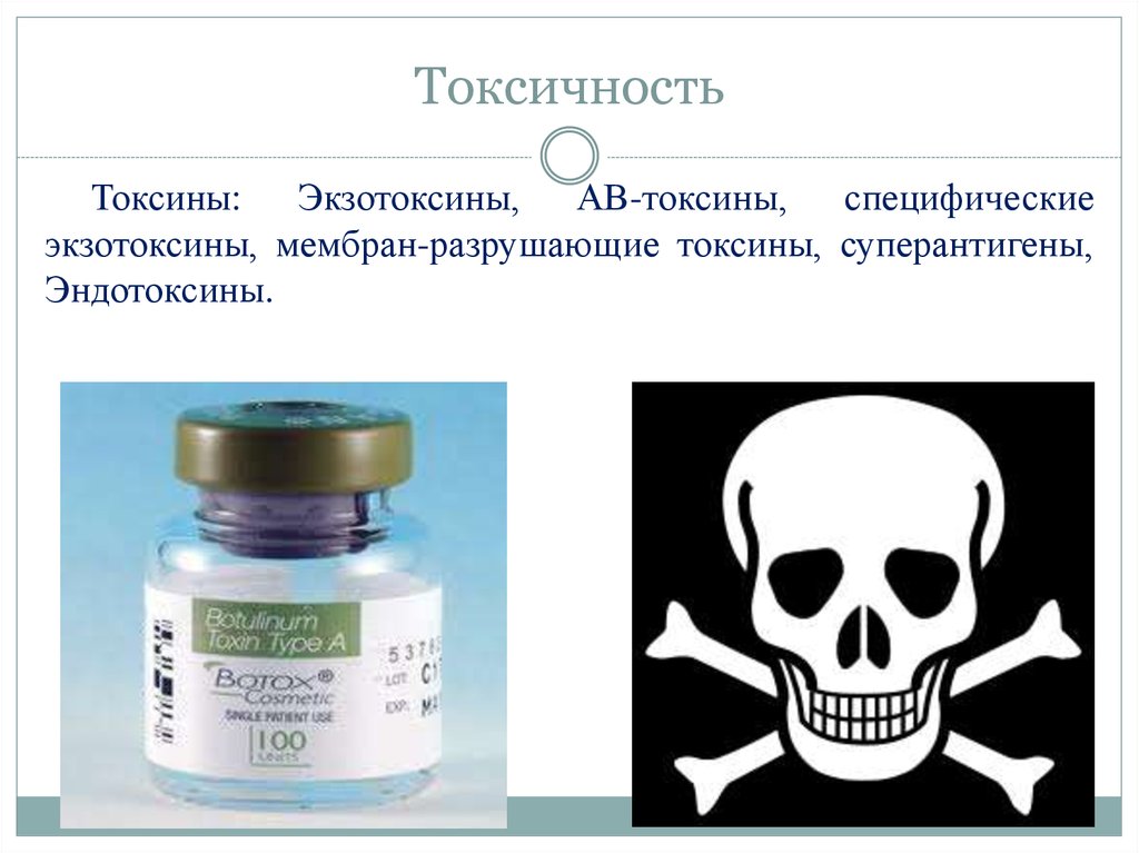 Значение токсичности. Токсичность. Токсичность микроорганизмов это. Токсичность это микробиология. Ядовитость микроорганизмов.