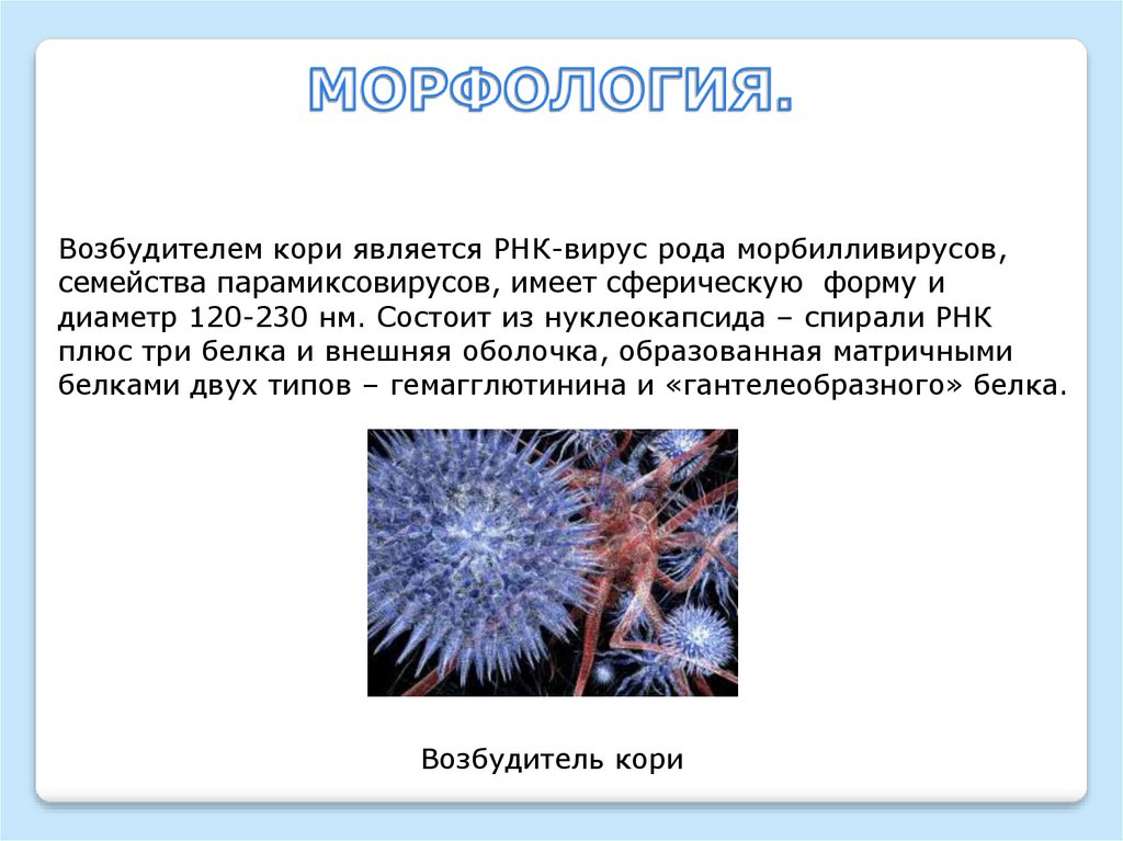 Возбудители ВРИ. Корь - презентация онлайн