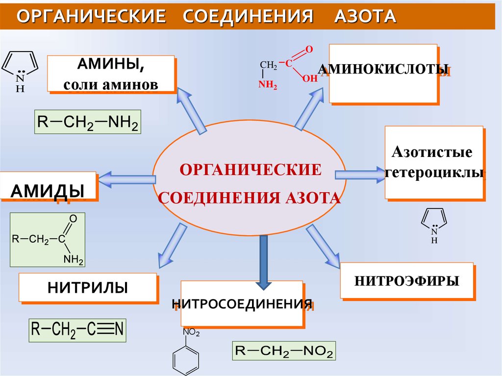 Азотсодержащие соединения амины. Азотсодержащие органические соединения в 6. Органические азотистые соединения.