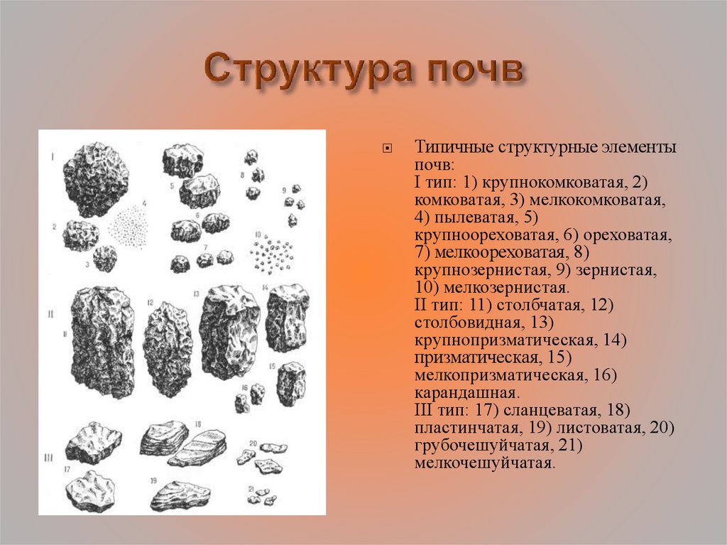 Элементы классификации почв по структуре. Плитчатая структура почвы. Комковатая структура почвы. Мелкозернистая структура почвы. Зернистая структура почвы.