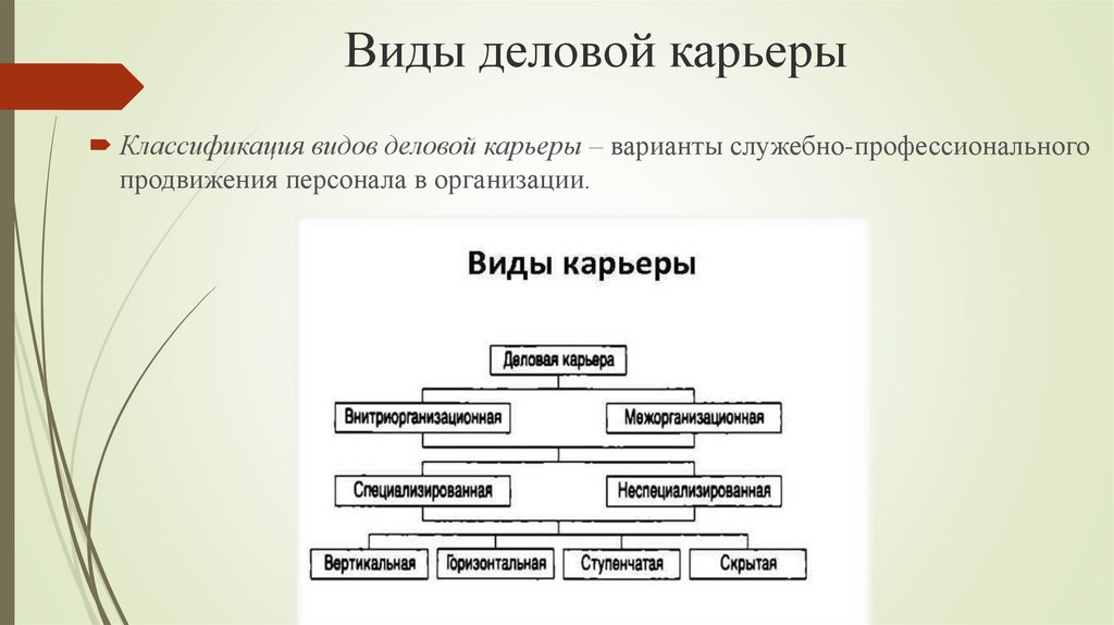 Виды деловой карьеры схема