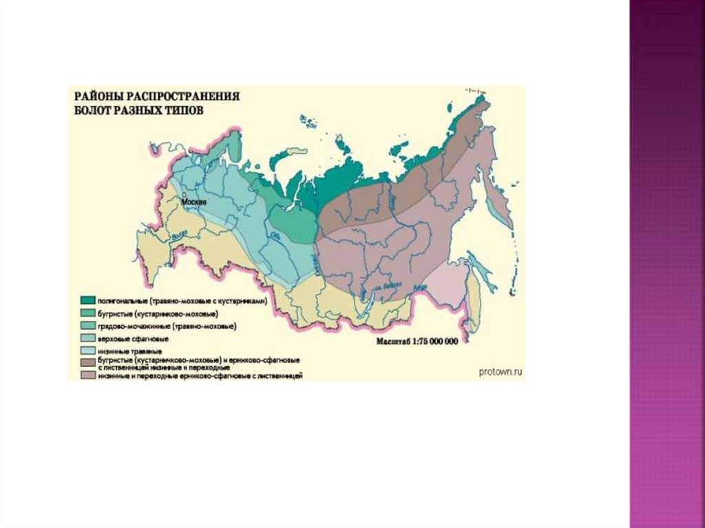 Основные причины болот. Районы распространения болот в России. Распространение болот. Районы распространения болот на карте. Распространение болот в России.