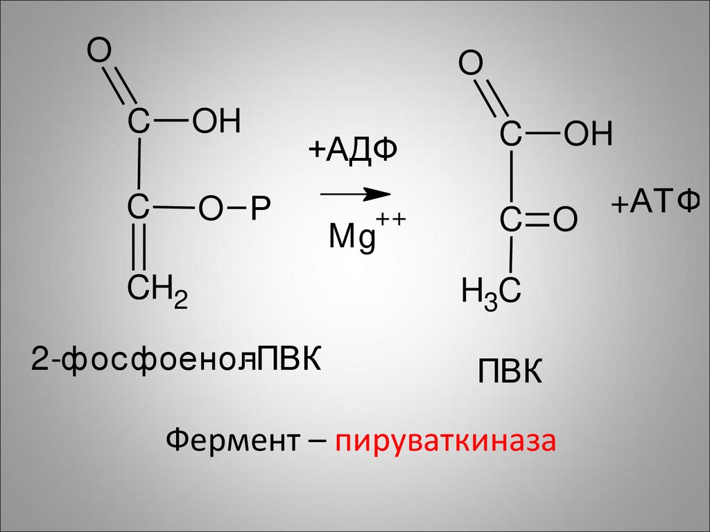 Пируваткиназа. Аденозиндифосфат. Углеводные детерминанты это. Углеводные детерминанты картинки.