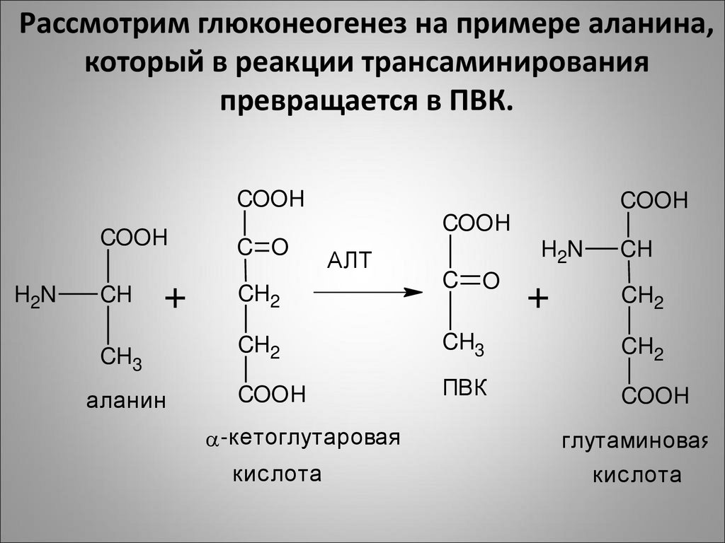 Общая схема глюконеогенеза из аминокислот глицерина и молочной кислоты