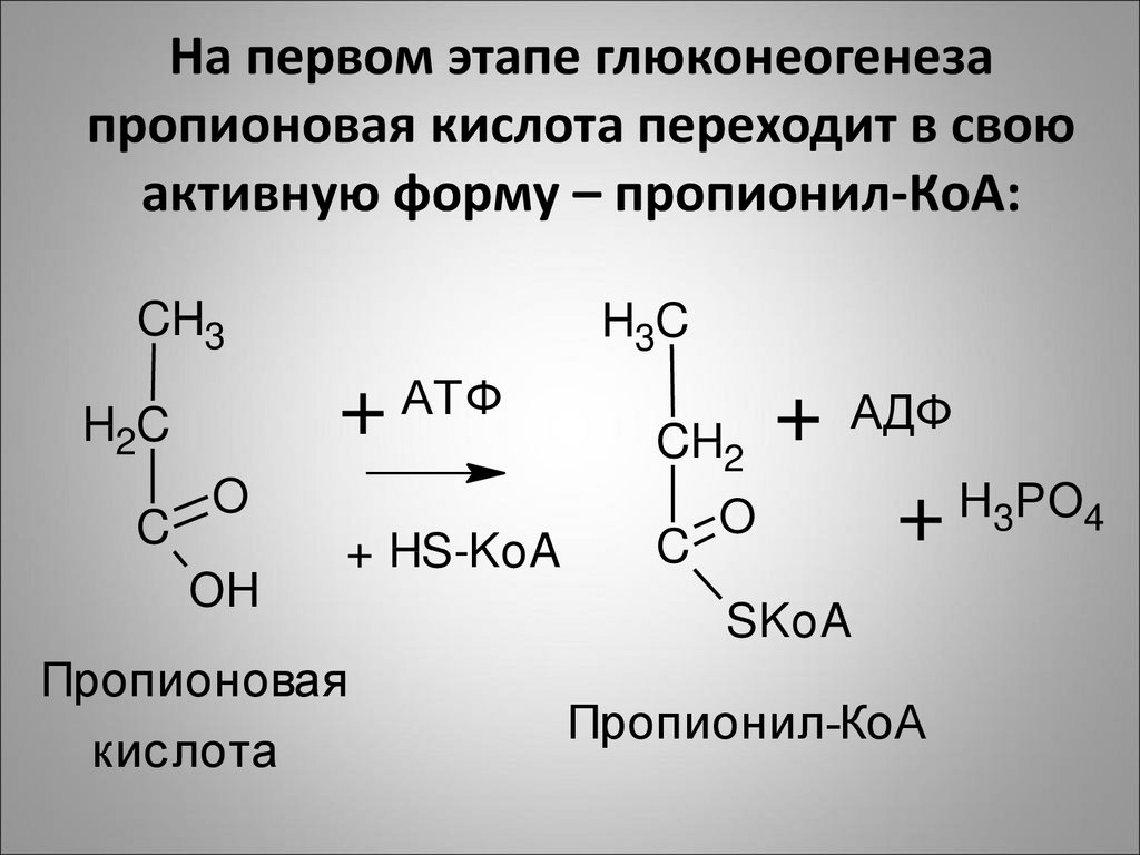 Пропионовая кислота и вода