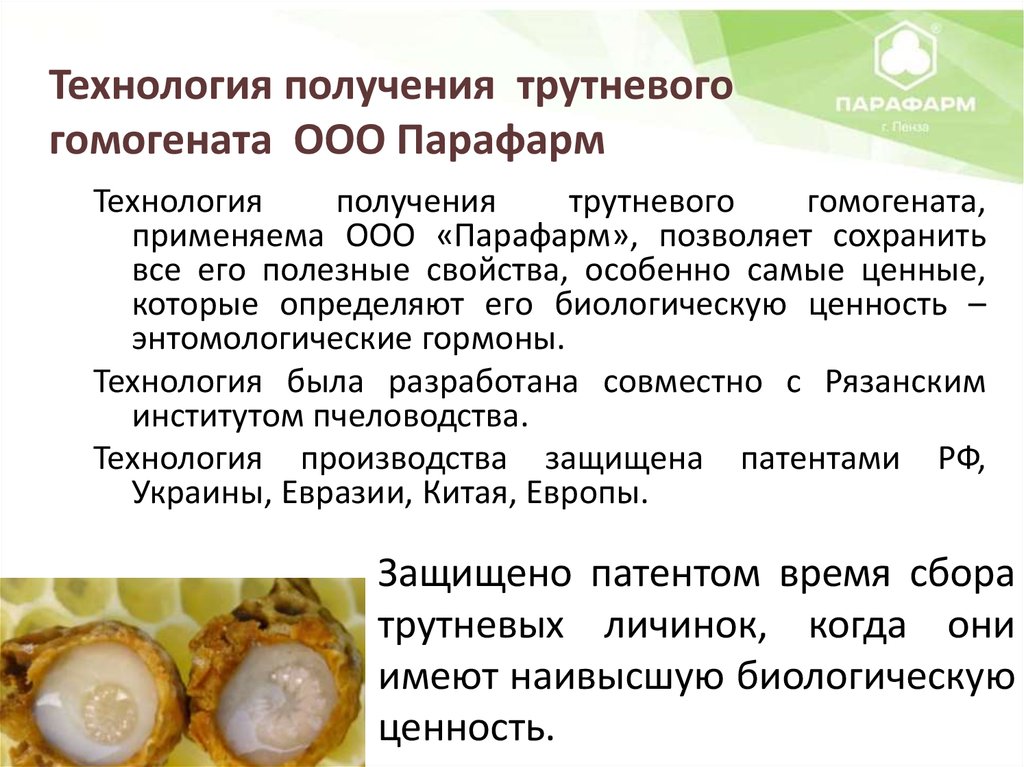 Что Такое Трутневый Гомогенат И Как Его Применять - Офремонт
