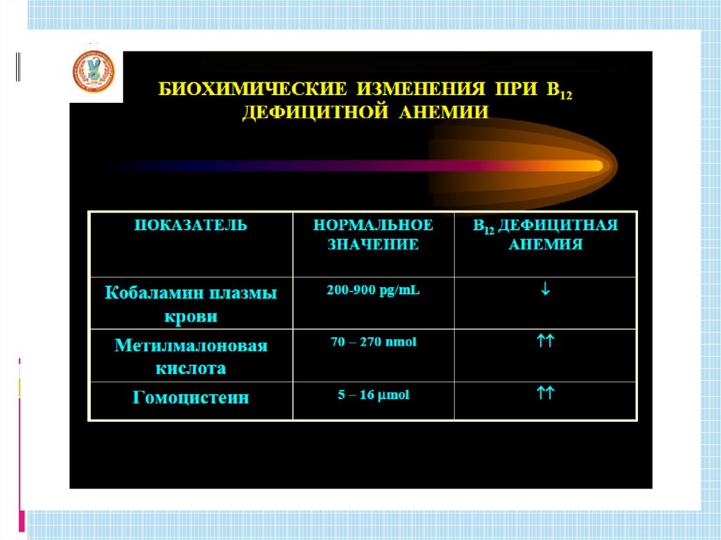 В12 дефицитная анемия презентация