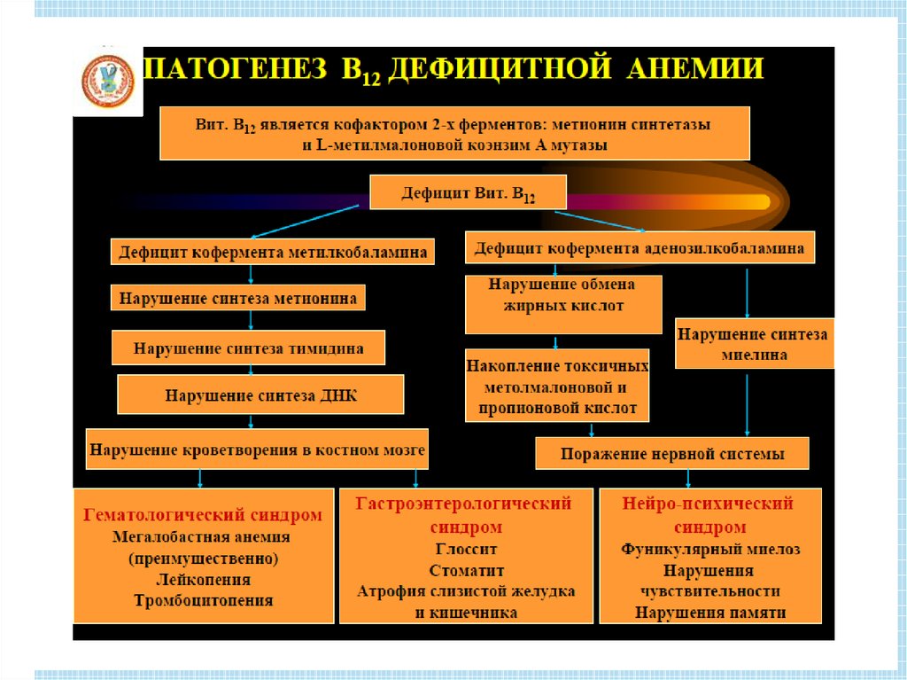 Дефицитные анемии презентация