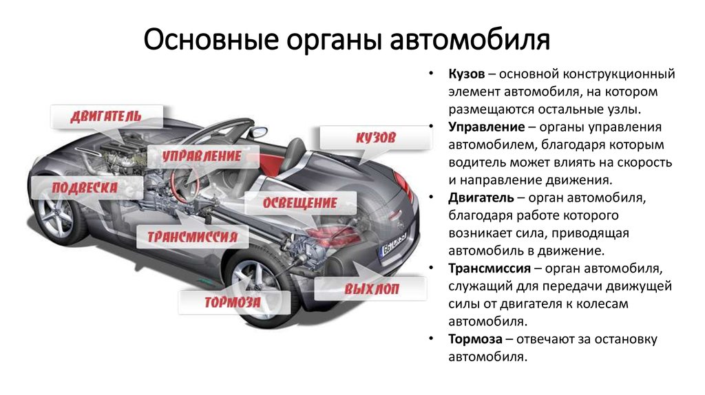 Органы управления транспортным средством. Основные органы автомобиля. Основные органы управления автомобилем. Органы управления мащинв. Основные элементы автомобиля.