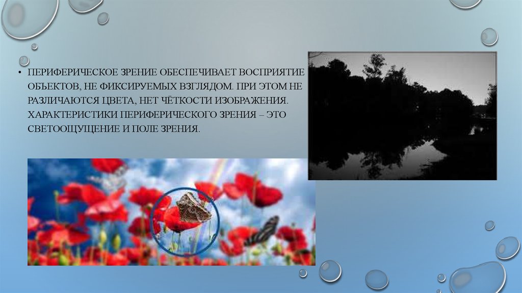 Восприятие обеспечивает. Центральное и периферическое зрение. Периферическое зрительное восприятие. Периферическое поле зрения. Характеристика периферического зрения.